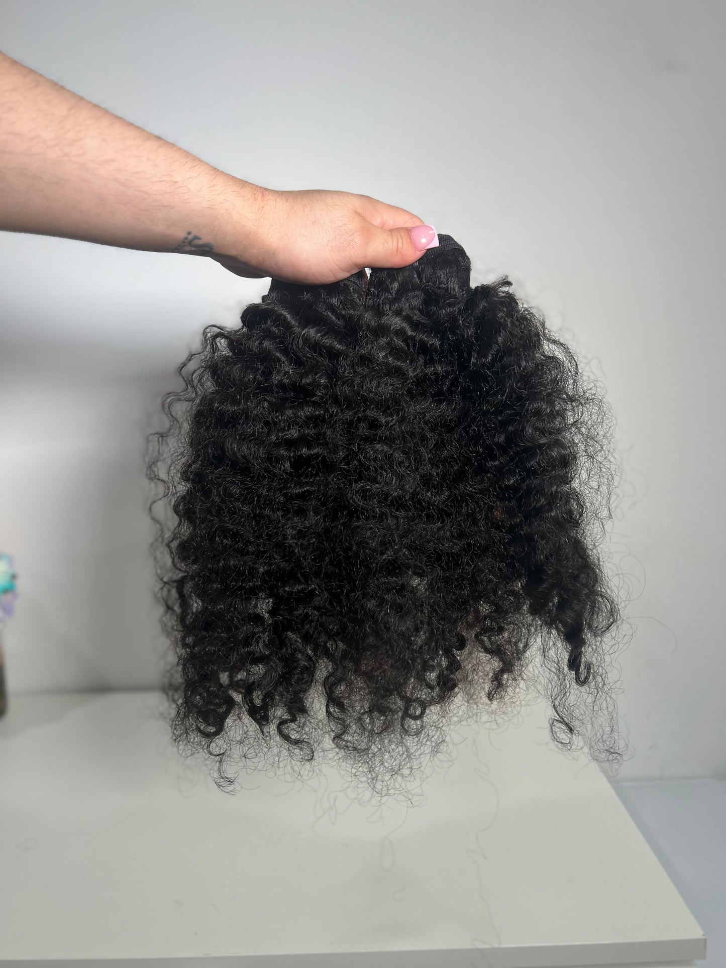 Burmese Curly 3 bundle deal