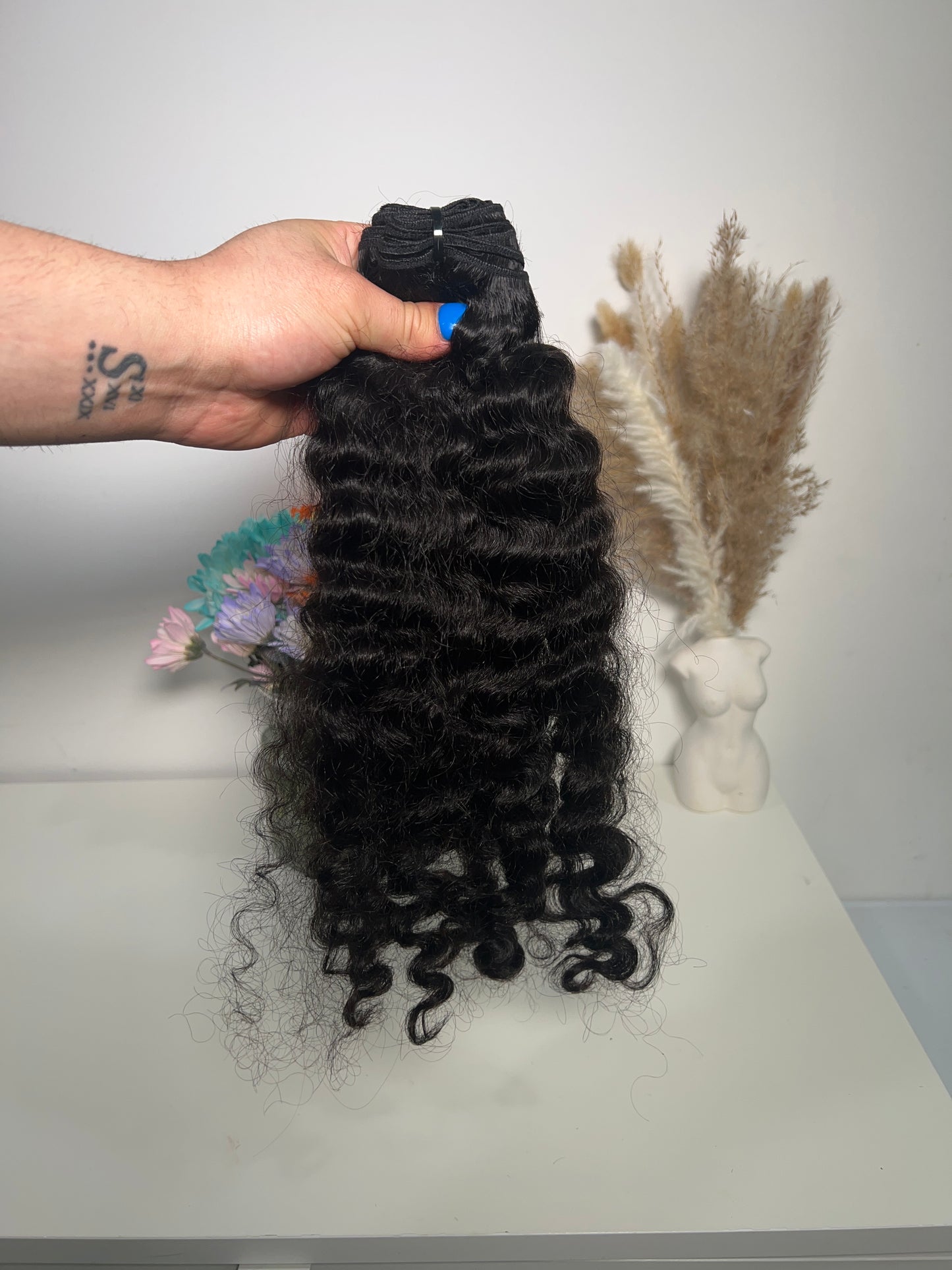 Burmese Curly 3 bundle deal
